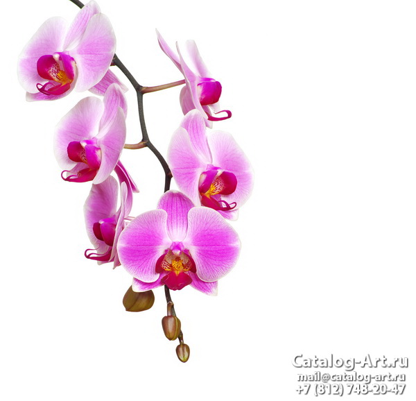 Натяжные потолки с фотопечатью - Розовые орхидеи 69